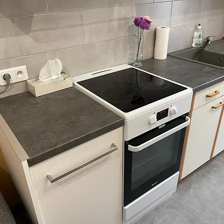 Centre Proche Thermes Apartment La Bourboule